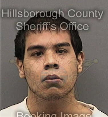 Timothy Shellenberger, - Hillsborough County, FL 