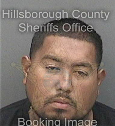 Carlos Torres, - Hillsborough County, FL 