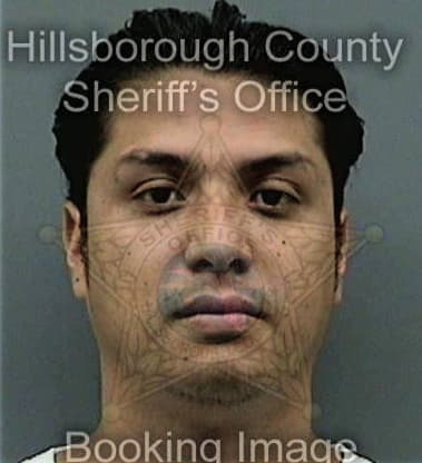 David Alderman, - Hillsborough County, FL 