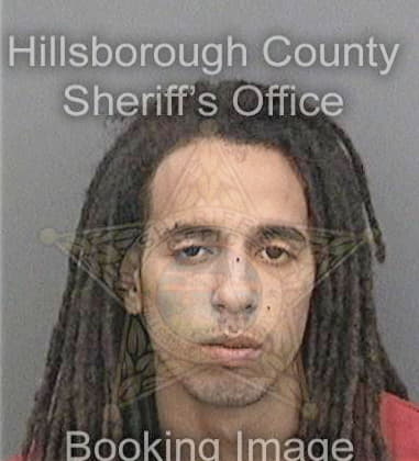 Leroy Froyer, - Hillsborough County, FL 