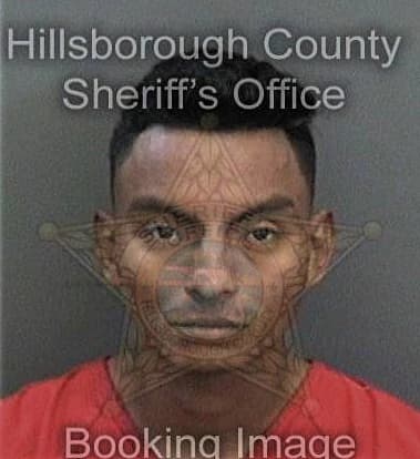 Justin Greer, - Hillsborough County, FL 