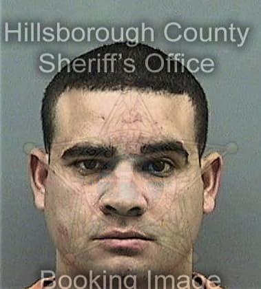 Reynaldo Izarry, - Hillsborough County, FL 