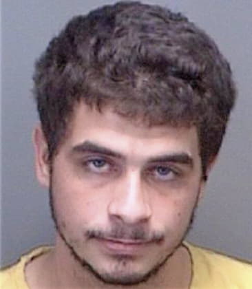 Jerry McBryde - Pinellas County, FL 