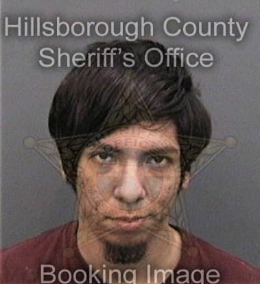 Michael Muralles, - Hillsborough County, FL 