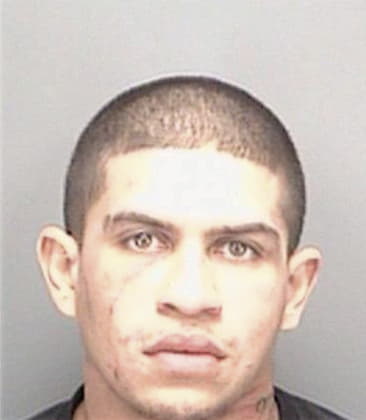 Christophe Olmos, - Pinellas County, FL 