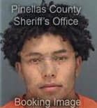 Irvin Rojano-Osorio, - Pinellas County, FL 