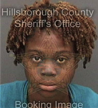 Sophia Barfield, - Hillsborough County, FL 