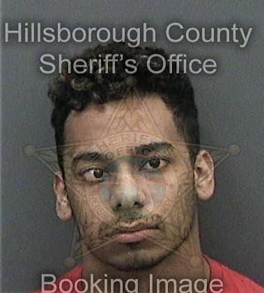 Garry Beniquez, - Hillsborough County, FL 