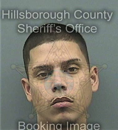 Daniel Day, - Hillsborough County, FL 