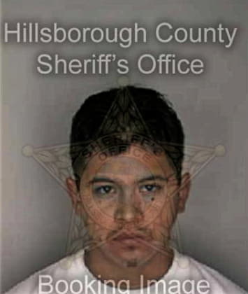 Juan Estrada, - Hillsborough County, FL 