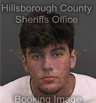 Michael Ford, - Hillsborough County, FL 