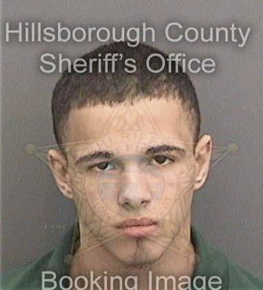 Francisco Martinez, - Hillsborough County, FL 