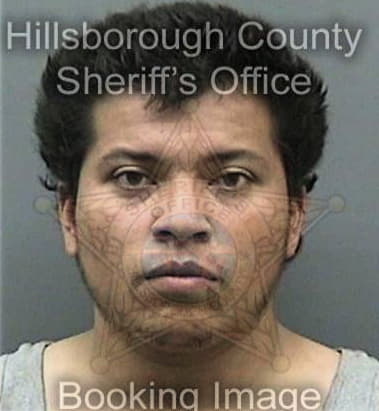 Scott McMinn - Hillsborough County, FL 