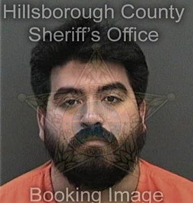 Constantin Olari, - Hillsborough County, FL 