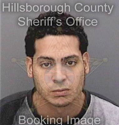 Ibrahim Ruiz, - Hillsborough County, FL 