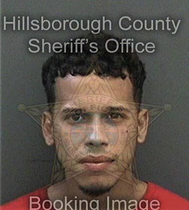 Wyatt Woolfolk, - Hillsborough County, FL 