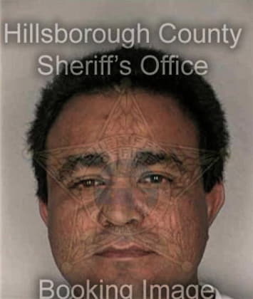 Lugo Diazrodriguez, - Hillsborough County, FL 