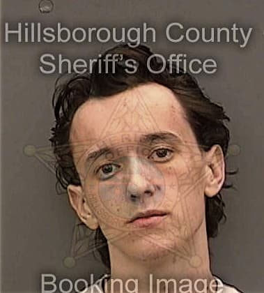 Thomas Dopico, - Hillsborough County, FL 