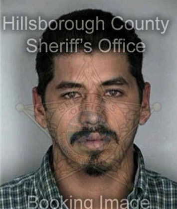 Brian Huggins, - Hillsborough County, FL 