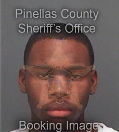 Nicholas Jenkins, - Pinellas County, FL 