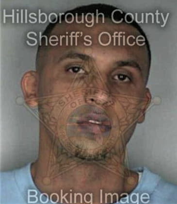 Gregory Martaniuk, - Hillsborough County, FL 