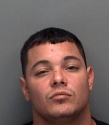 Vincent Palisano, - Pinellas County, FL 