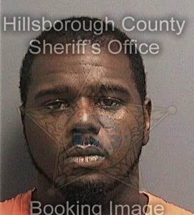 Daniel Palmer, - Hillsborough County, FL 