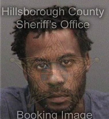 Joey Castillo, - Hillsborough County, FL 