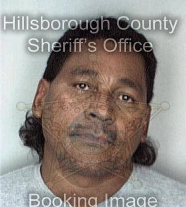 Hason Farhat, - Hillsborough County, FL 