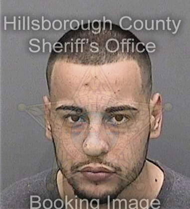 Hector Fonsecamartinez, - Hillsborough County, FL 