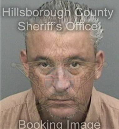 Cesar Massianiviloria, - Hillsborough County, FL 