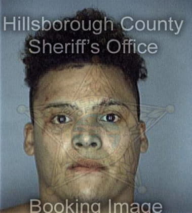 Jason Medina - Hillsborough County, FL 