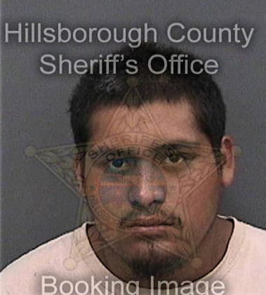 Omar Perez-Lopez, - Hillsborough County, FL 