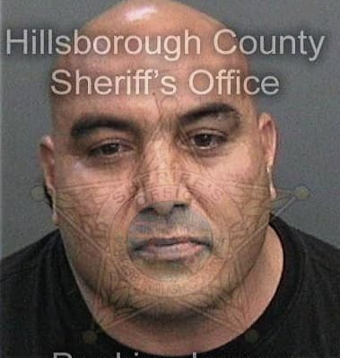 Rogney Rodriguezacosta, - Hillsborough County, FL 