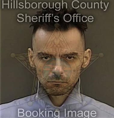 Ismael Santosdeaquino, - Hillsborough County, FL 