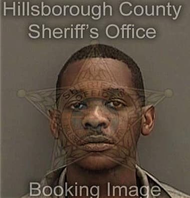 Altwain Carlisle, - Hillsborough County, FL 