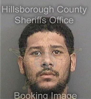 Reginald Howard, - Hillsborough County, FL 