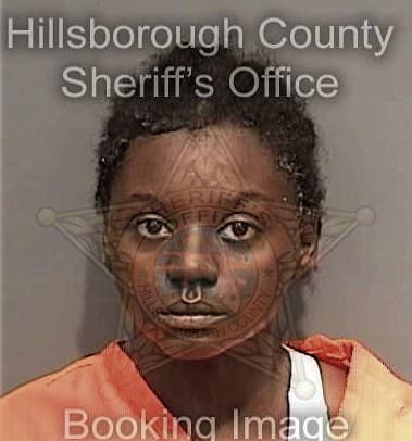 Katrina Hutchieson, - Hillsborough County, FL 