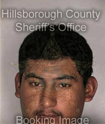 David McGlinich - Hillsborough County, FL 