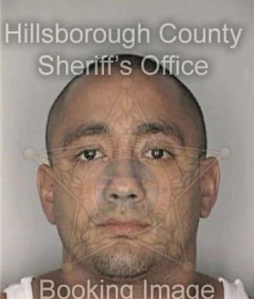 Wilfredo Torres, - Hillsborough County, FL 