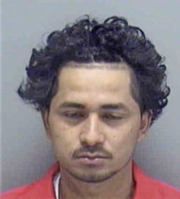 Jesus Villagomes, - Lee County, FL 