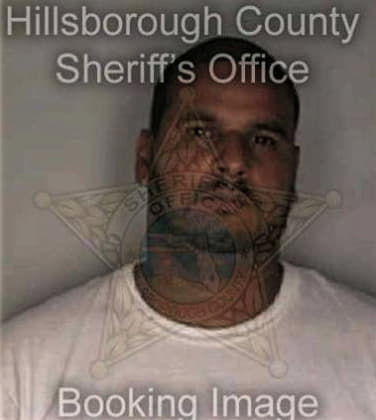 Robert McGwire - Hillsborough County, FL 