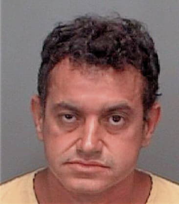 Miguel Ruizarguelles, - Pinellas County, FL 