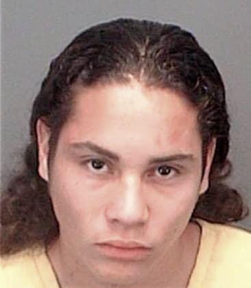 Manolo Sanchez, - Pinellas County, FL 