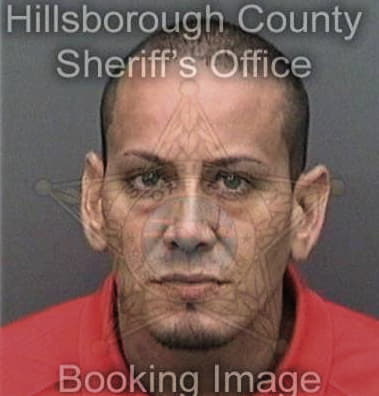 Anthony Alvarez, - Hillsborough County, FL 