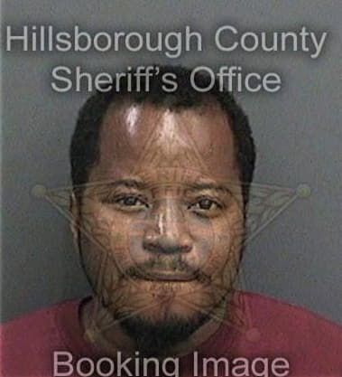 Leterrance Goggins, - Hillsborough County, FL 