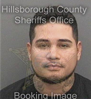 William Hernandez - Hillsborough County, FL 