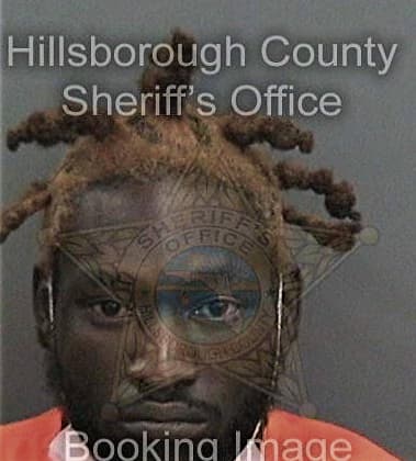 Alphonso King, - Hillsborough County, FL 