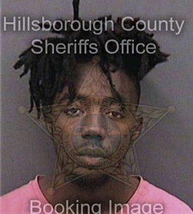 Dquarion McDuffy - Hillsborough County, FL 