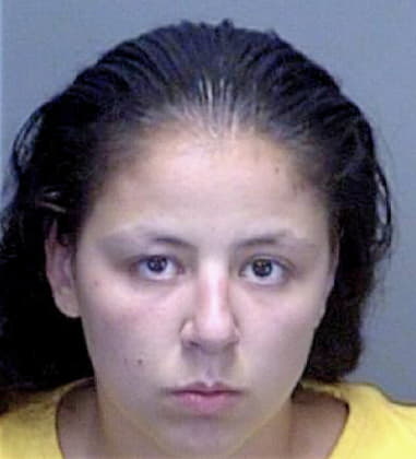 Laurie McGrew - Pinellas County, FL 
